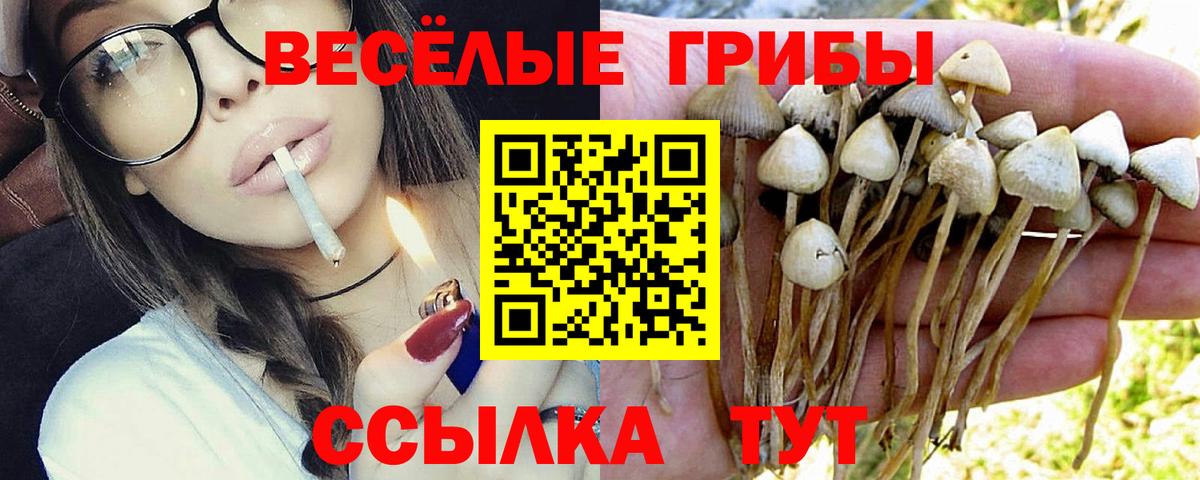 Уварово  Псилоцибиновые грибы Psilocybe  Вход с VPN 